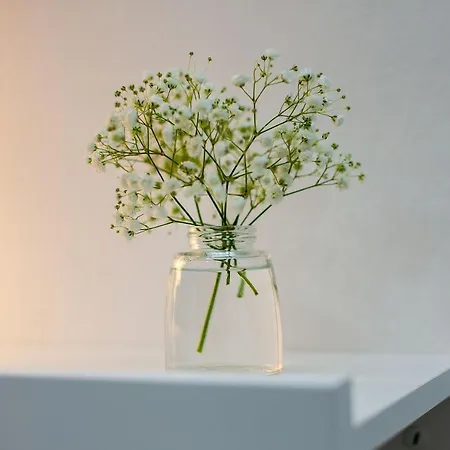 Casa Eloisa Appartement *